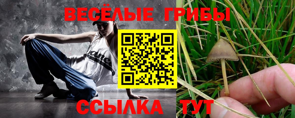 Галлюциногенные грибы мухоморы Аргун